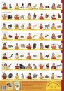 Plakat der Tierzeichen zur Zwergensprache von Vivian König